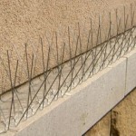 spilli antipiccione (2)